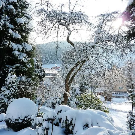 Rheingold Garni בית הארחה 3*