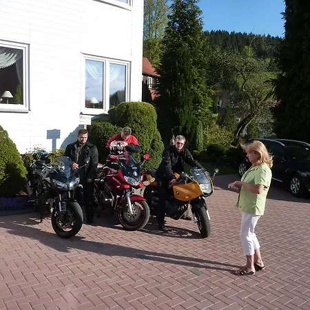 Rheingold Garni 3* באד גרונד