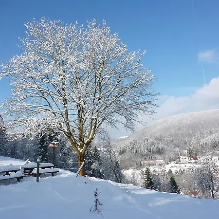 Rheingold Garni בית הארחה 3*