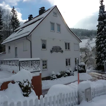 Rheingold Garni בית הארחה